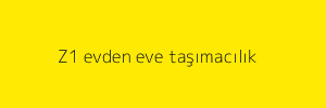 Z1 evden eve taşımacılık